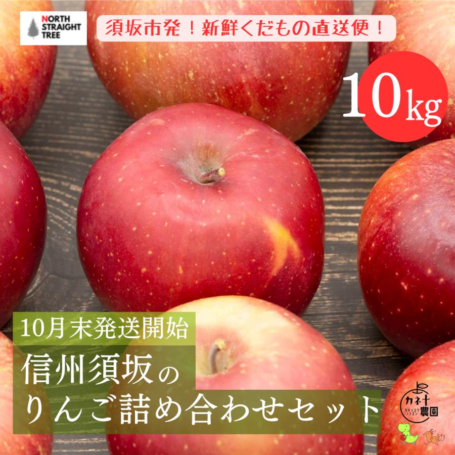 ２０２３年１０月末頃発送開始　カネ十農園　長野県須坂市産りんご詰め合わせセット　１０ｋｇ