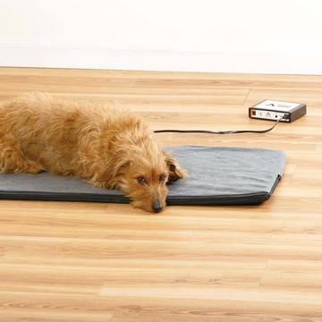 ASSISI LOOP LOUNGE 脈衝電磁墊 尺寸L 中型犬貓適用