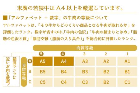 牛肉 若狭牛 ステーキ 計800g（200g × 4枚）福井県産 和牛サーロインステーキ A4等級 以上を厳選！ [e02-e001]