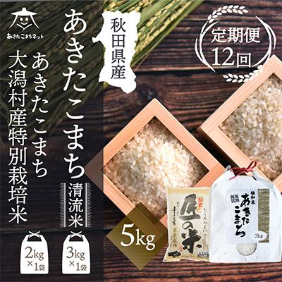 ふるさと納税 秋田市 秋田県産あきたこまち3kg・大潟村ふると米2kg食べ比べセット全12回