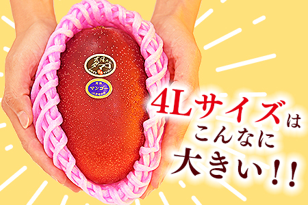 予約受付！数量限定！＜宮崎県産 太陽のタマゴ A等級 4Lサイズ×2玉（合計約1kg）＞2024年4月下旬～6月末迄に順次出荷