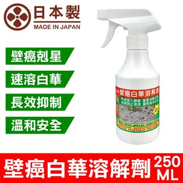十田修繕-日本壁癌白華溶解劑 250ML