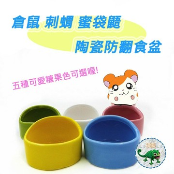 【鼠勾乙】 蜜袋鼯倉鼠?? 刺蝟?? 陶瓷防翻小食盆 水盆 餵食器具小碗 黃金鼠寵物鼠 龍貓 多色選擇
