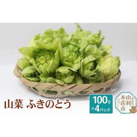 ふるさと納税 山菜 ふきのとう 100g×4パック 天然 （発送は3月?4月頃） 秋田県由利本荘市