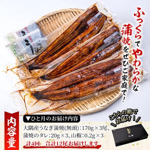 ふるさと納税 2182 大隅特産うなぎ蒲焼 3尾（510g） 鹿児島県鹿屋市