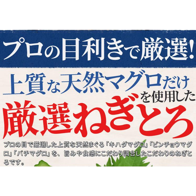 ねぎとろ ５００ｇ まぐろたたき（約５人前） まぐろたたき 天然まぐろ 厳選 送料無料 鮪 冷凍