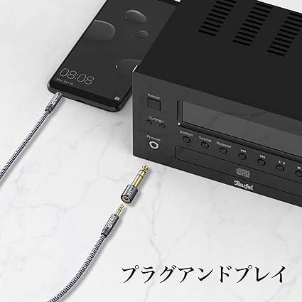 3.5mm ⇒ 6.35mm 変換 プラグ RIKSOIN 2個セット ステレオミニプラグ メス ⇒ ステレオ標準プラグ オス イヤホンジャック 変換