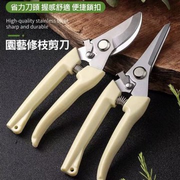 不鏽鋼園藝剪刀(直頭/彎頭) 家用修枝剪 嫁接/細枝剪