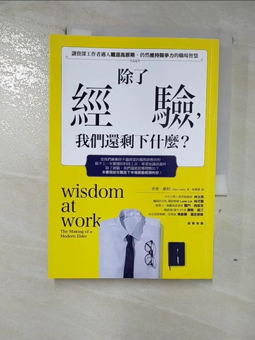 【書寶二手書T8／心理_GLV】除了經驗，我們還剩下什麼？：讓資深工作者邁入職涯高原期時，仍然維持競爭力的職場智慧_奇普．康利,  吳慕書