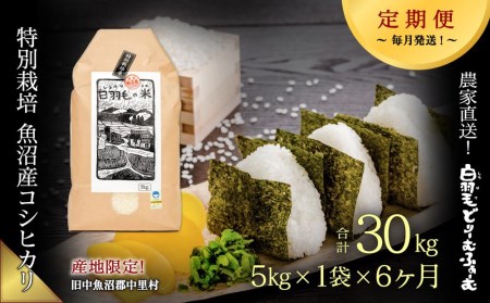 ≪令和5年産≫農家直送！魚沼産コシヒカリ特別栽培「白羽毛の米」精米(5kg×1袋)×6回 30kg