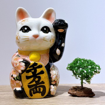 【福櫻綻華】日本清水燒招財貓 | 色繪 - 櫻 中號