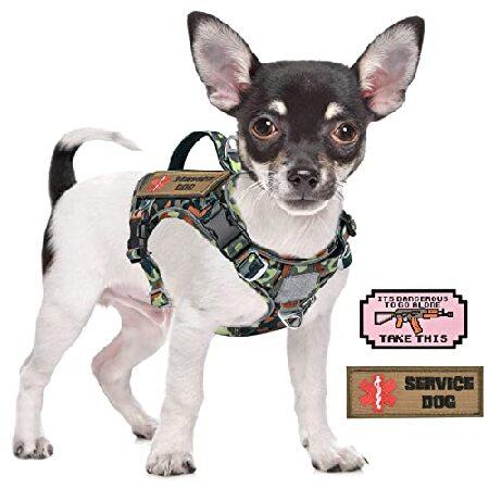 Camo harness 2024 for small dogs