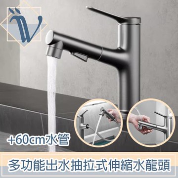 Viita 多功能出水抽拉式冷熱伸縮水龍頭+60cm水管 槍灰色