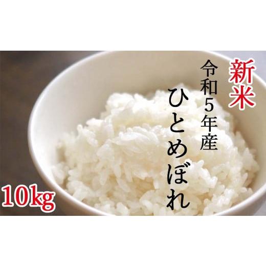 ふるさと納税 岩手県 平泉町 平泉町産ひとめぼれ　精米10kg（10kg×1袋）