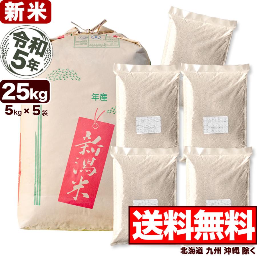 新米 玄米 25kg こしいぶき 令和5年産 新潟産 送料無料 （北海道、九州、沖縄除く）