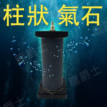 氣泡石/現貨/柱狀氣石/氣泡柱—|B5|【龍爵士水族】