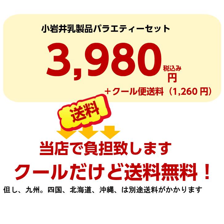 小岩井乳製品バラエティーセット 送料無料