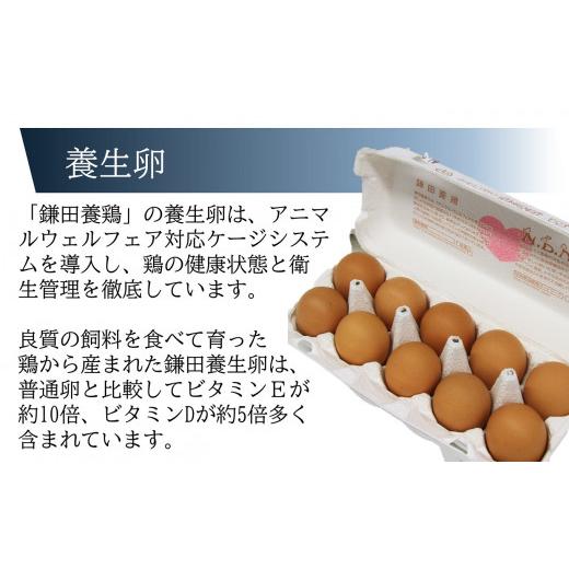 ふるさと納税 新潟県 柏崎市 たまごかけごはんセット（ミルキークイーン 無洗米 2kg・卵20個・醤油1本）×10回[M029]