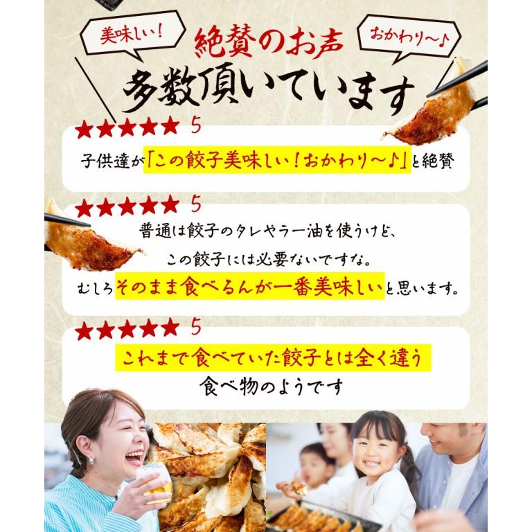 肉餃子 20g 15個 4セット 計60個 送料無料(離島別) 餃子 ぎょうざ ギョウザ お返し ギフト 冷凍 おつまみ お取り寄せ 中華 贈答 贈り物