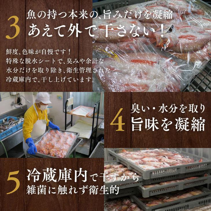 産地直送九州 お取り寄せ 干物 ひもの 食べ比べ 豪華 魚 添加物不使用 無添加 お歳暮 ギフト 贈答 記念 おつまみ 帰省暮 送料無料