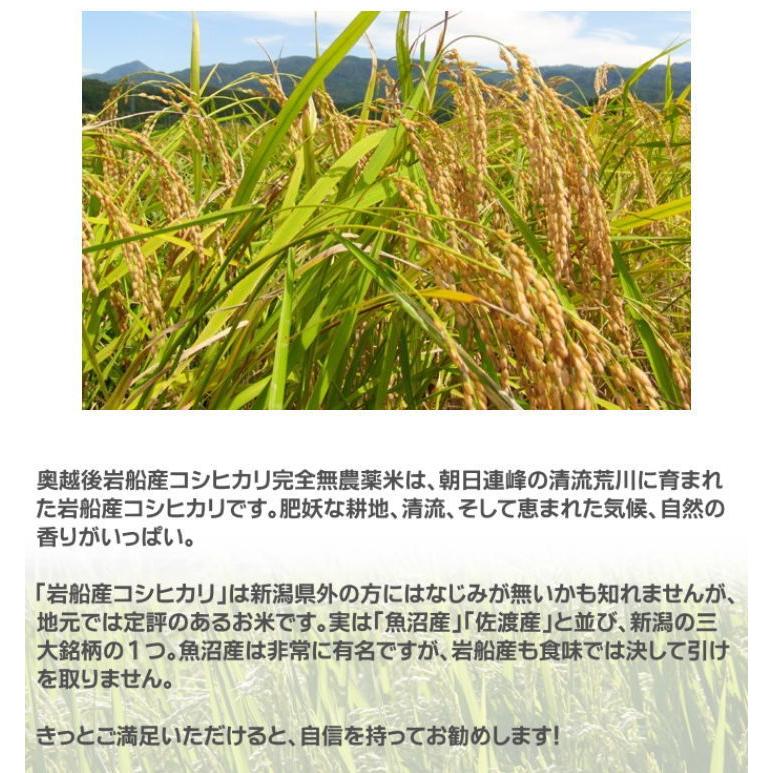 無洗米 農薬無使用 コシヒカリ 10kg   希少米 合鴨農法 新潟 岩船産 令和5年産 新米   人気 おいしい 新潟米 こしひかり 送料無料