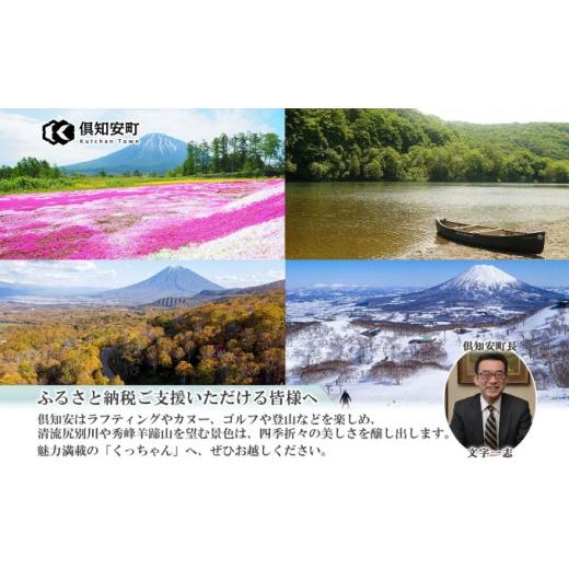 ふるさと納税 北海道 倶知安町 先行予約 2024年 北海道 とうもろこし 味来 みらい 北海道 5kg 2Lサイズ 大きめ 夏野菜 とうきび 旬 新鮮 野菜 トウモロコシ ギ…