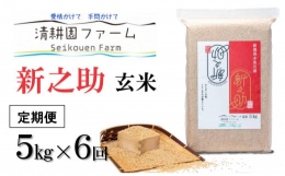 新米新之助5kg×6回 清耕園ファーム 農家直送 新潟の新しいブランド米（6ヶ月お届けします） 令和5年産 合計30kg