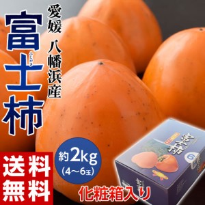 ギフト 愛媛県産 富士柿 化粧箱入り 4～6玉 約2kg ※常温　送料無料