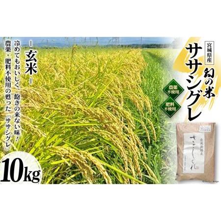 ふるさと納税 米 令和5年産 希少品種米 ササシグレ 玄米 10kg お米    長沼 太一   宮城県 加美町 宮城県加美町