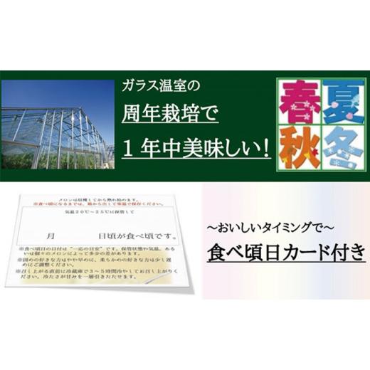 ふるさと納税 静岡県 袋井市 数量限定！クラウンメロン 山等級 ”極みメロン” 3玉 ギフト箱入 人気 厳選 ギフト 贈り物 デザート グルメ 果物 袋井市