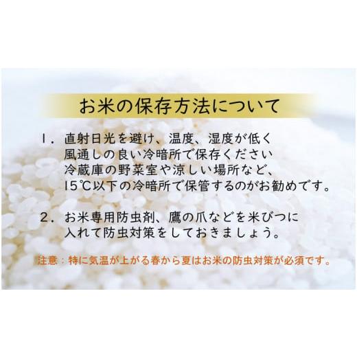 ふるさと納税 福井県 越前町 [e35-c004_02] 定期便 ≪6ヶ月連続お届け≫ 減農薬米こしひかり 5kg × 6回（計30kg） 令和6年 福井…