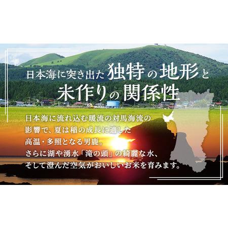 ふるさと納税 定期便 令和5年産 あきたこまち 精米 20kg 5kg×4袋 6ヶ月連続発送（合計 120kg） 秋田食糧卸販売 秋田県男鹿市