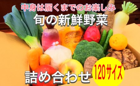 No.379 新鮮野菜詰め合わせ120サイズ