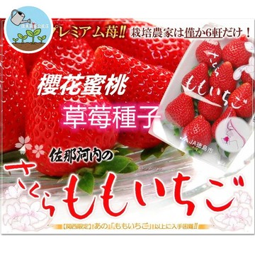 【日本稀有品種】德島櫻花水蜜桃草莓種子 さくらももいちご 夢幻粉白果實 水蜜桃香氣 高觀賞價值 陽台盆栽可種 限量珍貴種
