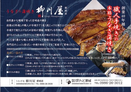 鰻専門店・職人手焼きの本格うなぎ蒲焼き2尾_MJ-3305_(都城市) 国産 本格 うなぎ 鰻 蒲焼 宮崎 柳川屋