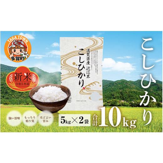 ふるさと納税 滋賀県 多賀町 こしひかり 10kg（5kg × 2袋） BG無洗米[B-00402]