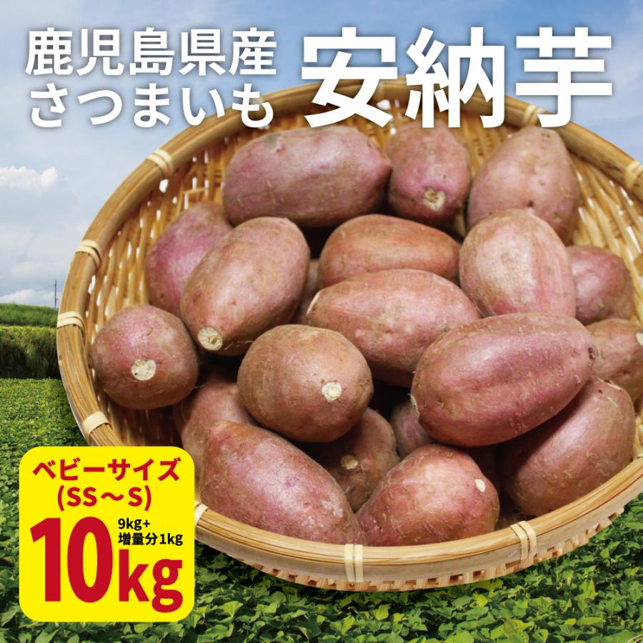 安納芋 ベビーサイズ 10kg (9kg 保証分1kg) 土付き 生芋 (130g以下のSS〜Sサイズ) 鹿児島県産 さつまいも 2023年産