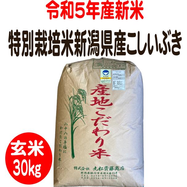 令和5年新米　玄米30kg 特別栽培米新潟産こしいぶき