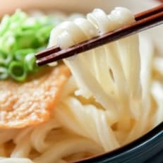 低糖質麺 うどん 2700g(約27人前)