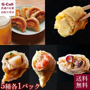 SAPPORO餃子製造所 特選 北海道餃子ギフト 5種セット 送料無料 餃子 北海道餃子 中華料理 お取り寄せ ご飯のお供 ビール おつまみ ご自宅