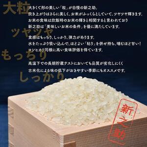 ふるさと納税  佐渡島産新之助 無洗米5Kg 新潟県佐渡市