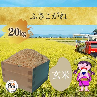 ふるさと納税 大網白里市  千葉県産「ふさこがね」玄米 20kg