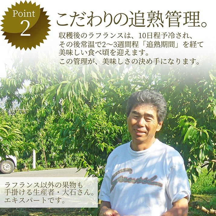  ラフランス 秀品 3kg 送料無料 ラ・フランス 洋梨 洋ナシ 山形県産 産地直送 贈答用 ギフト 贈り物 プレゼント 遠方送料加算