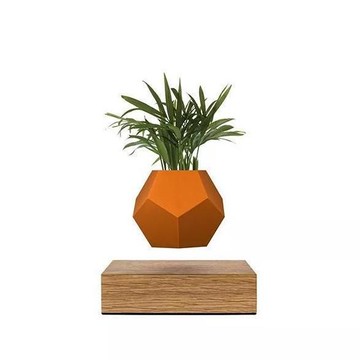 Flyte Lyfe 赤陶色 Skin