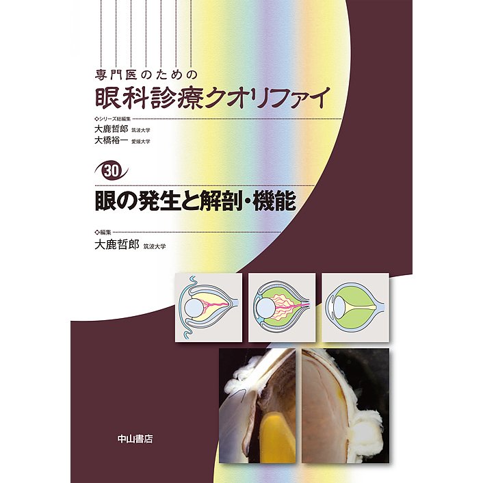 眼の発生と解剖・機能