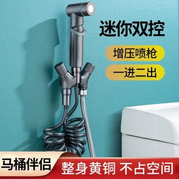 跨境外貿款精銅馬桶伴侶婦洗器套裝洗屁器家用衛生間噴槍一進二出