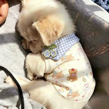 【萌寵用品】狗狗衣服春夏季薄款卡通圖案比熊貓咪布偶泰迪小型犬寵物可愛背心 臺灣出貨