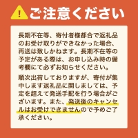 とよみつひめ300ｇ×４パック 先行予約※2023年8月上旬から2023年10月上旬にかけて順次発送予定　AX007