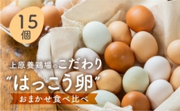 上原養鶏場のはっこう卵　3～4種おまかせ食べ比べ 15個 破卵保障3個