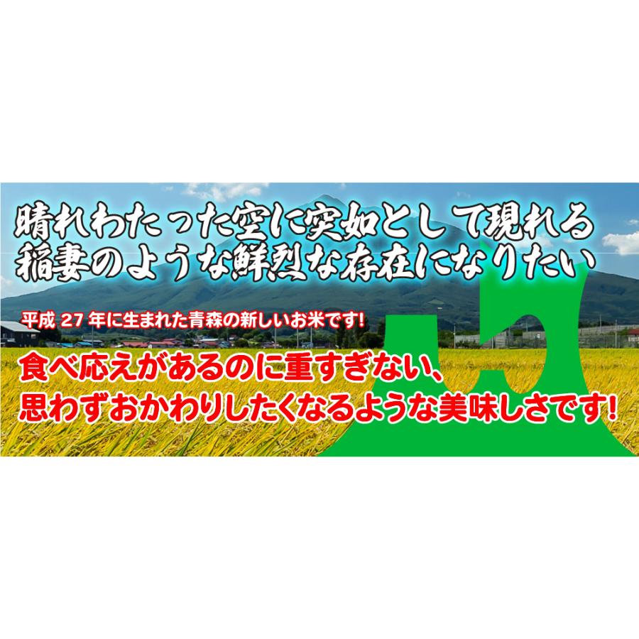 新米 令和5年度産 お米 特A 青天の霹靂 5kg 青森県産 白米 食品 国産米 5キロ せいてん へきれき